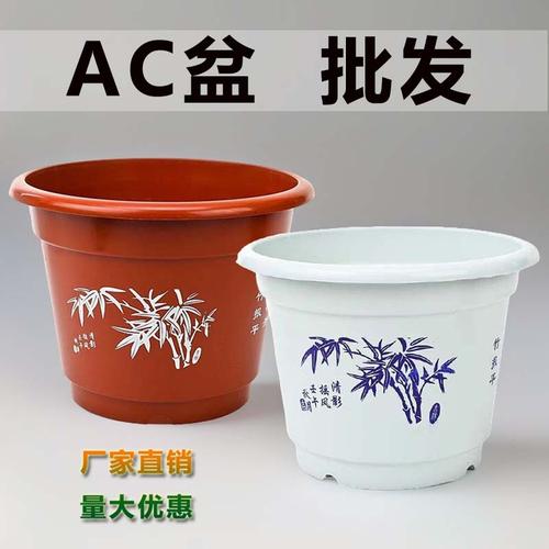 阳台秘语 一盆塑料花的深情守望