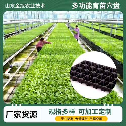 绿化种植育苗穴盘批发园艺蔬菜育苗盘pet林木育苗盆穴盘育苗